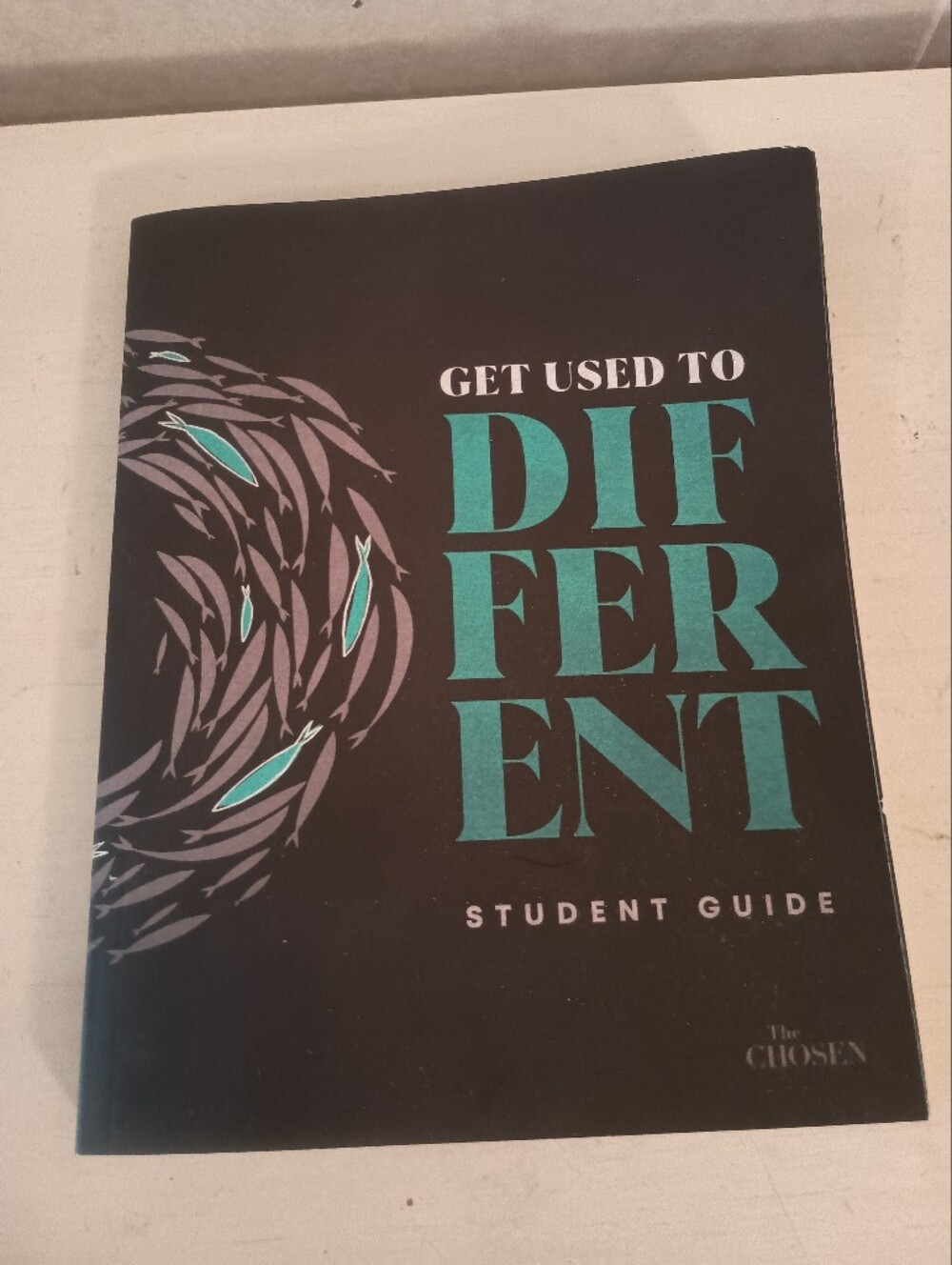 "Get Used to Different" Student Guide - Black & Teal